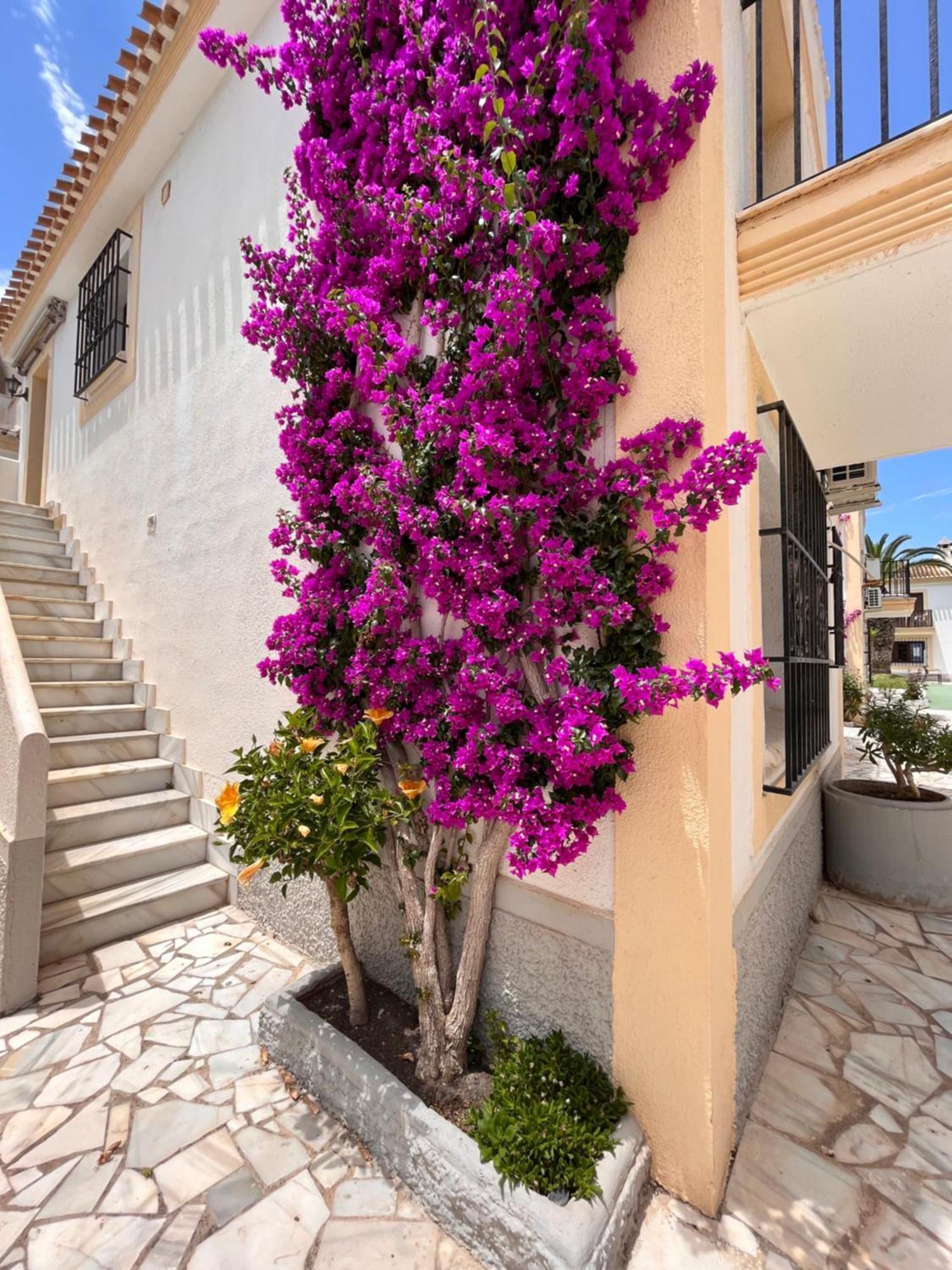 Apartamento Esquina Verde En Vera Coast Playas de Vera Eksteriør billede