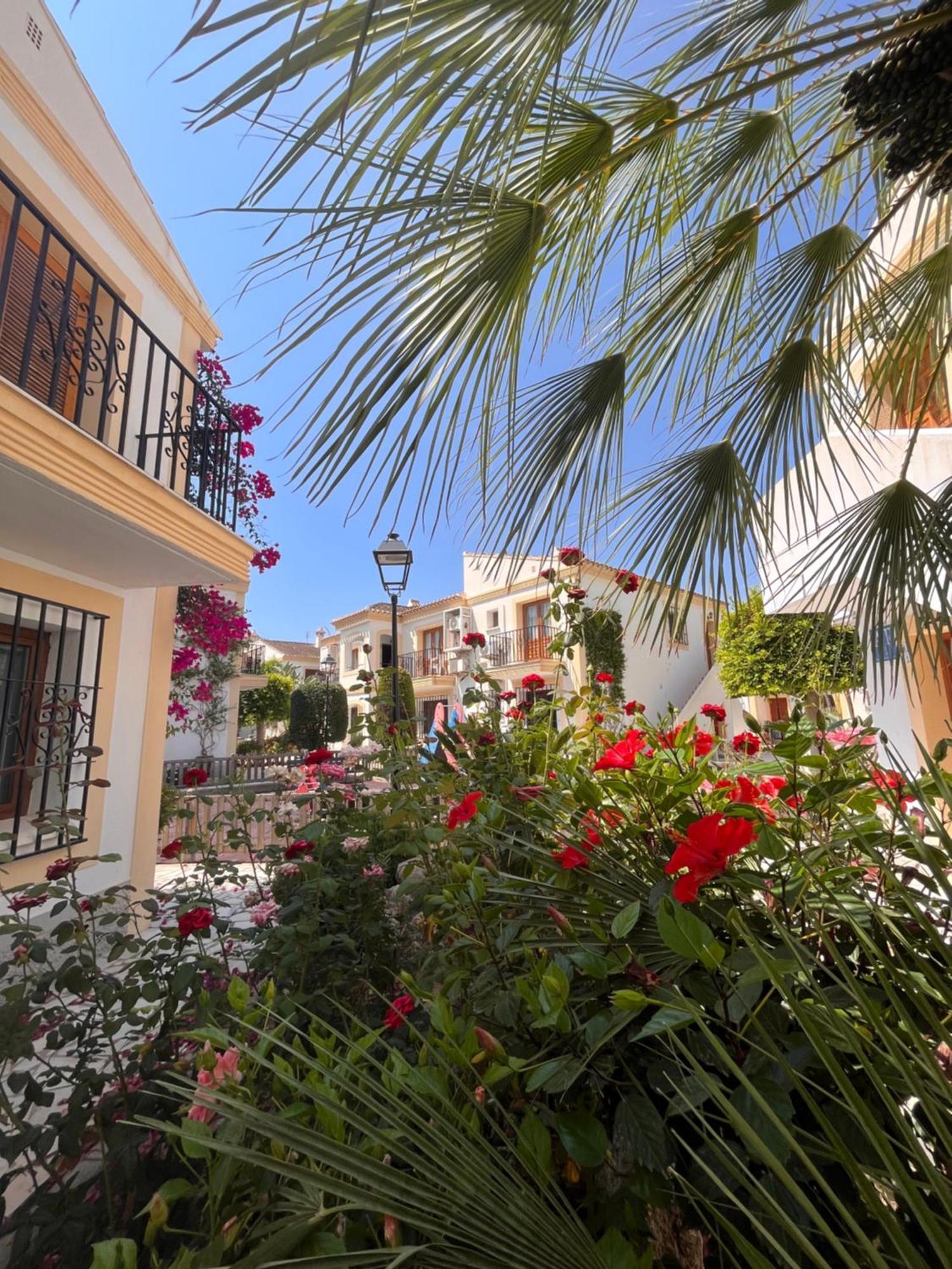 Apartamento Esquina Verde En Vera Coast Playas de Vera Eksteriør billede